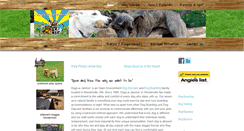 Desktop Screenshot of dogs-a-jammin.com